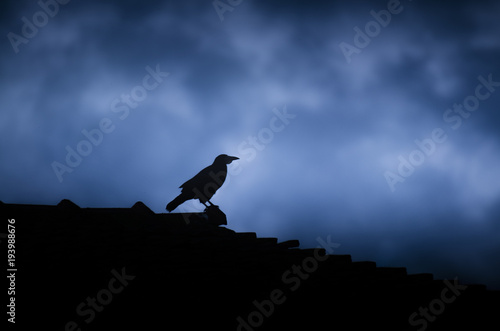 crow silhouette on old building rooftor with dramatic storm clouds in background