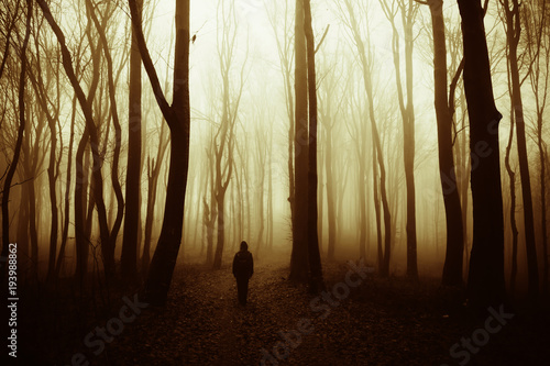 man walking in mysterious forest in autumn sunset light