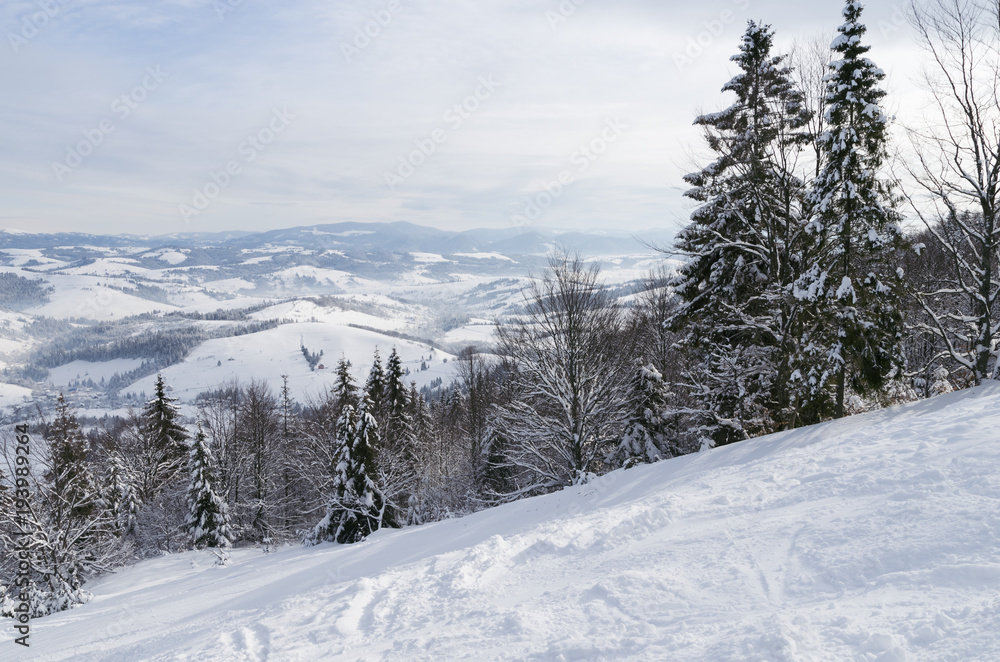 Ski resort scene in Carpathian in sunny winter morning