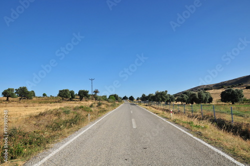 An empty road through the field © stdemiriz