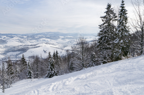 Ski resort scene in Carpathian in sunny winter morning © Kseniia