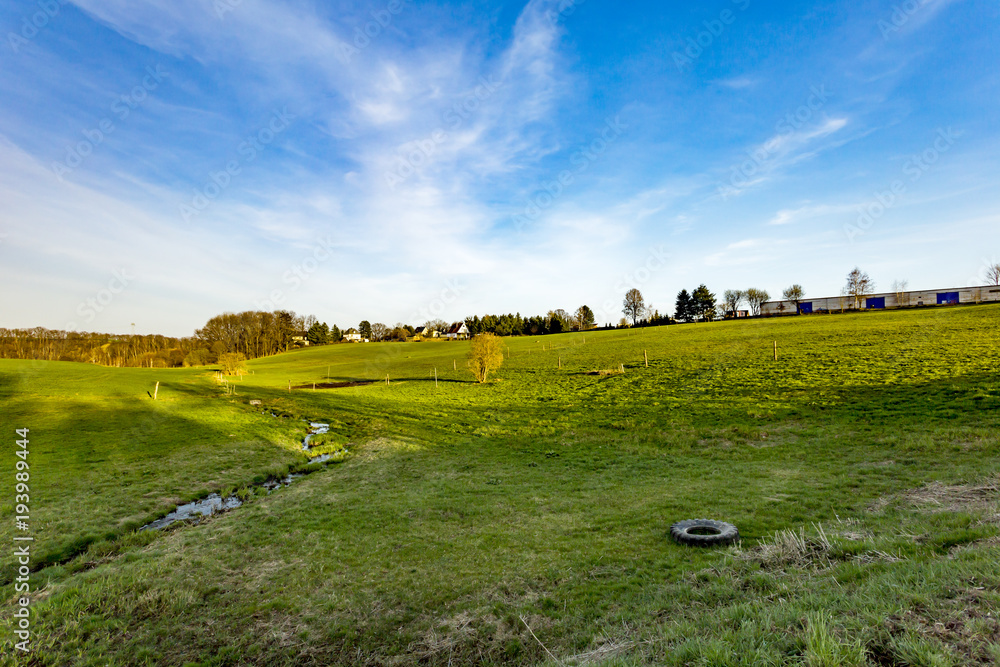 Naklejka premium Landscape with meadow