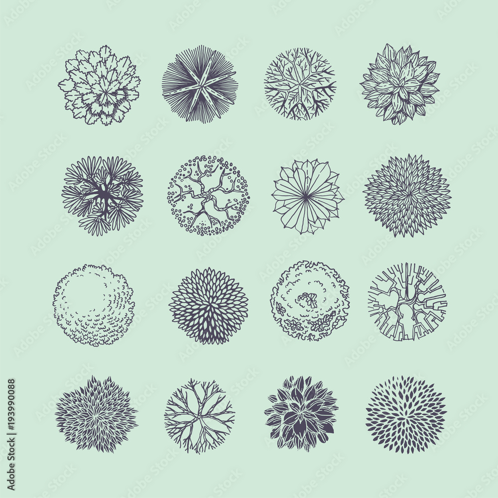 Different plants and trees vector set for landscape design Different plants and trees vector set for landscape design
