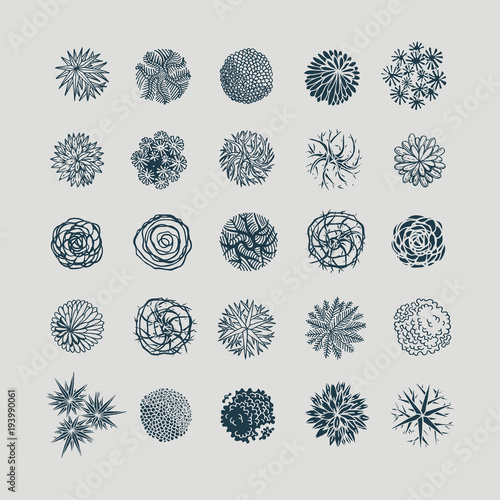 Different plants and trees vector set for landscape design