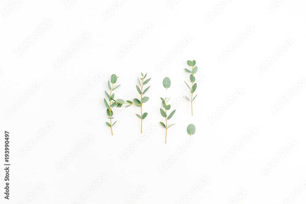 Word Hi made of eucalyptus branch on white background. Flat lay, top view.