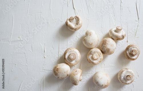 Raw champignons on white background top view