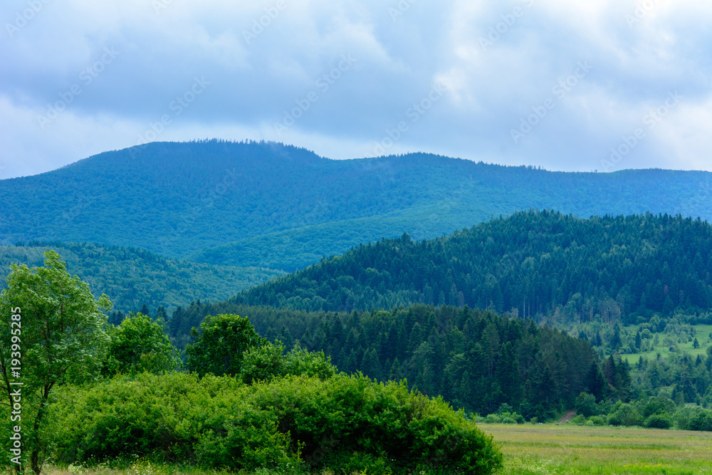 Obraz premium A wonderful landscape of the Ukrainian village in the Carpathian mountains