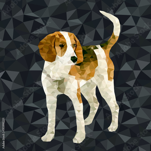Vector polygonal dogs silhouettes