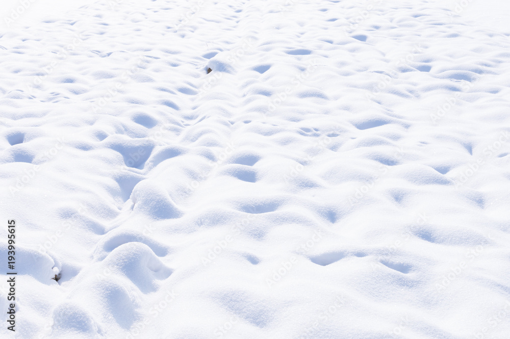Obraz premium snow in the field background