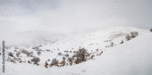 Winter in the Village. Turkey Erzincan Ilic Danzi (Ozlu) Village. photo