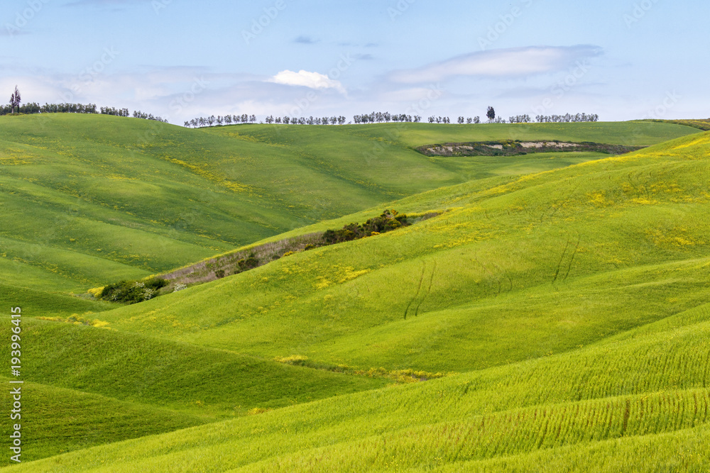 Rolling fields in a valley in a rural landscape