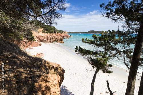 crique sauvage de corse, rondinara photo