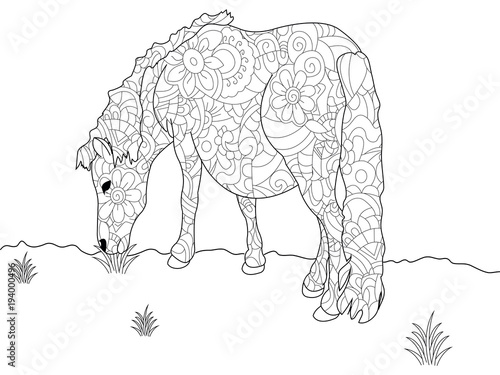 Anti stress coloring book pony. Horse doodle style. Black lines, white background vector