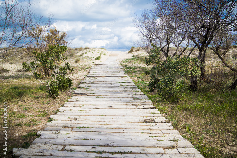 Fototapeta premium mediterranean beach