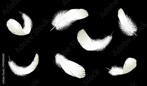 Realistic 3d detailed white swan pigeon feathers fluff set collection black blue background. Vector illustration. Falling feathers abstract light composition air wind flight design element