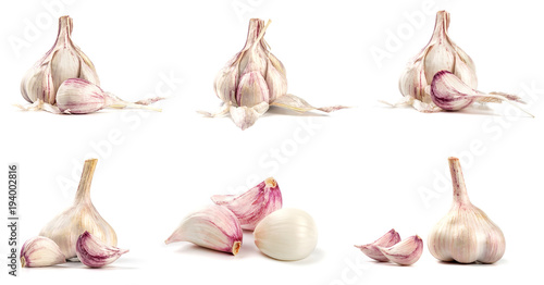 Collection of fresh garlic isolated on white