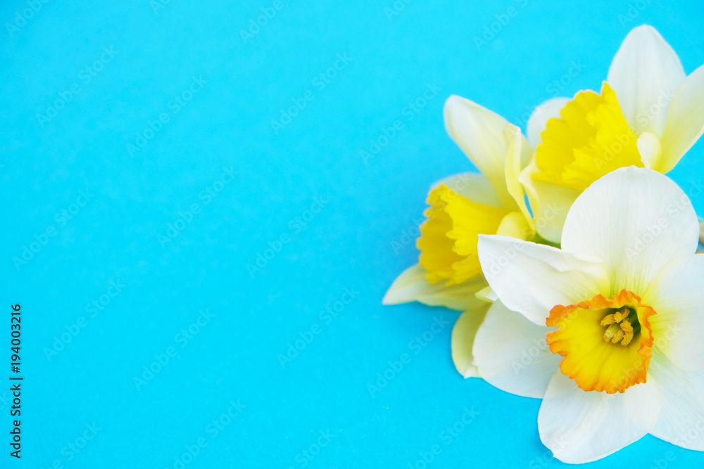 Tender minimalistic spring flowers composition on texture surface. Beautiful feminine plant decoration for holiday greeting card. Summertime, summer, spring, march april, june july. Happy mother's day