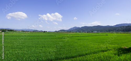 Panoram view of green field of Gyeongju 