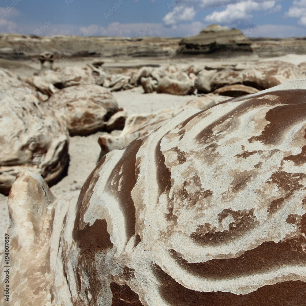 Obraz premium Cracked Eggs Bisti Wilderness Area New Mexico USA