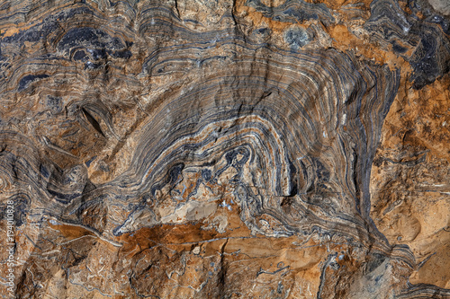 Surface of stone Stromatolite,