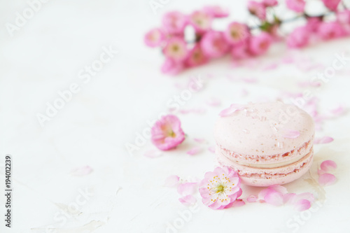 Traditional French blueberry strawberry cranberry macaroons dessert biscuits with beautiful flowers arrangement on white gray concrete textured background table top. Tasty but unhealthy food.