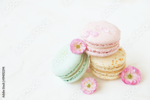 Traditional French blueberry strawberry cranberry macaroons dessert biscuits with beautiful flowers arrangement on white gray concrete textured background table top. Tasty but unhealthy food.