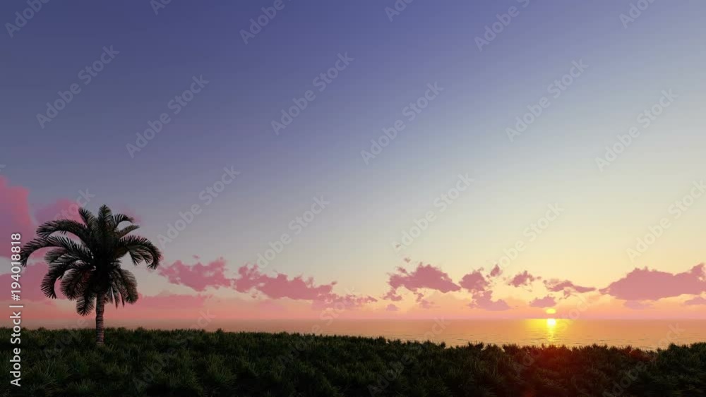 One palm tree on a sunset One palm tree on a sunset