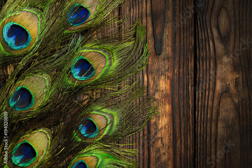 Peacock feathers decorate a vertically dark wooden brown Board © Elena Fetisova