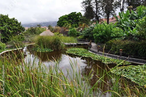 Wassergarten teneriffa