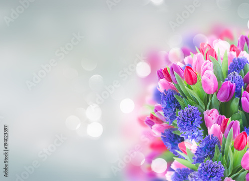 bouquet of blue hyacinth and tulips