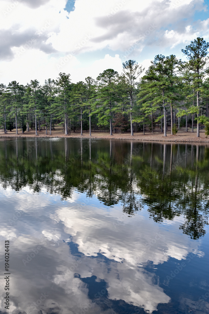 Obraz premium blue sky day on water with reflections