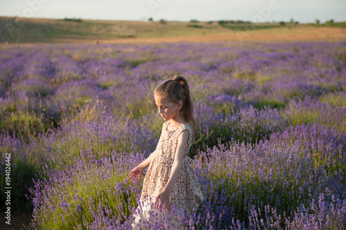 cute little girl goes through the meadows of lavender flowers