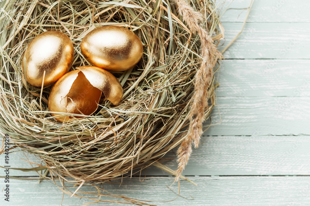 Golden eggs in the nest, one broken egg Golden eggs in the nest, one broken egg