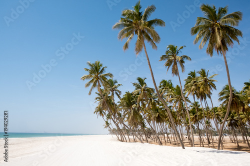 Beach of Salalah, Sultanate of Oman