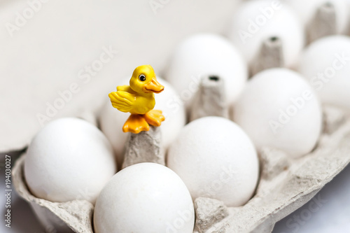 Close up of one egg in the eggs package yellow easter duckling © Angelov