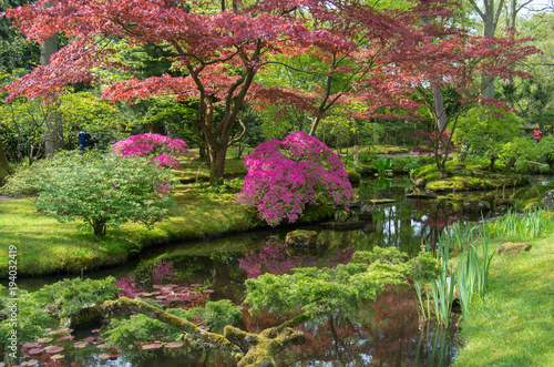 Japanese garden with red trees and lake in The Hague