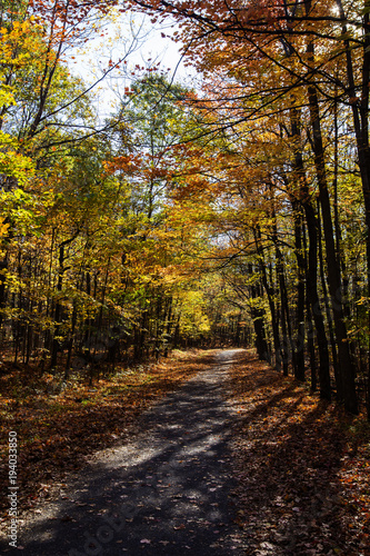 Fall colors in Quebec, Canada © Mircea Costina