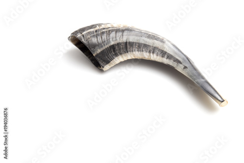 фотографія The Shofar is a Hollowed Ram's Horn Used to Call People to Rependance