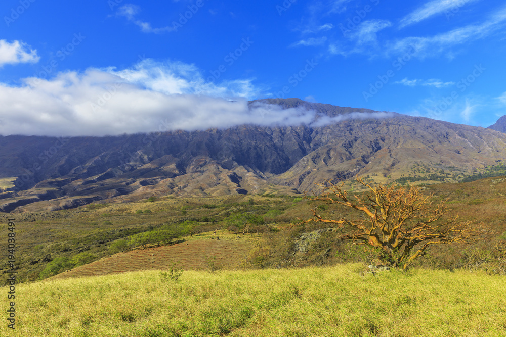 Haleakala back road in Maui, Hawaii