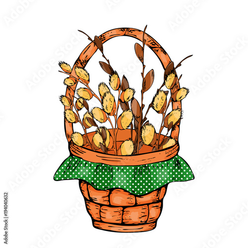 Vector illustration of spring willow branches on white background. Spring willow bouquet with yellow bow.