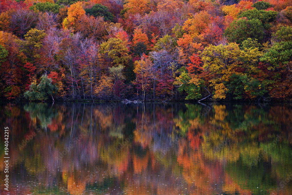 Fototapeta premium Fall colors in Quebec, Canada