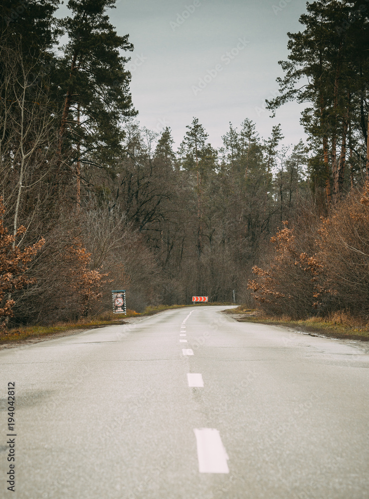 Obraz premium road in forest