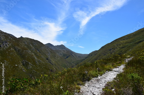 Wandern in der Fynbos Landschaft um Bettys Bay, Südafrika