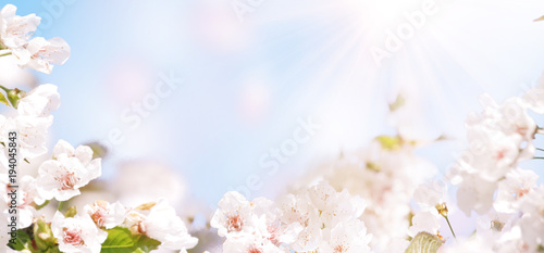 Der Frühling ist da!