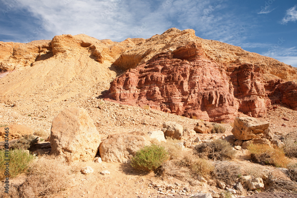 Fototapeta premium Landscape with sparse vegetation at Red Canyon tourist destination, Israel