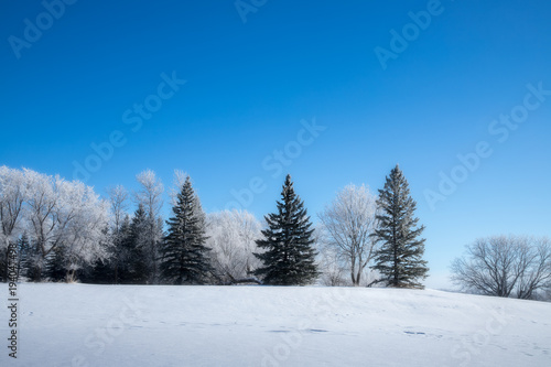winter landscape © ChristopherP