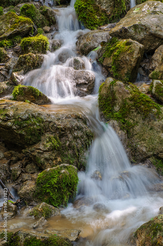 A view of the mountain stream flowing in cool streams along the rocks among the green grass and flowers. Summer, day. A view of the mountain stream flowing in cool streams along the rocks among the green grass and flowers. Summer, day.