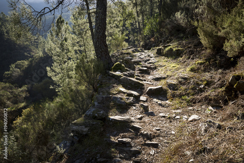mountain path with stones at Foz de Égua (Piódão), Açor Mountain (Arganil), District of Coimbra, Portugal