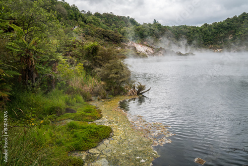 Prehistoric landscape with geothermal springs, Rotorua, New Zealand