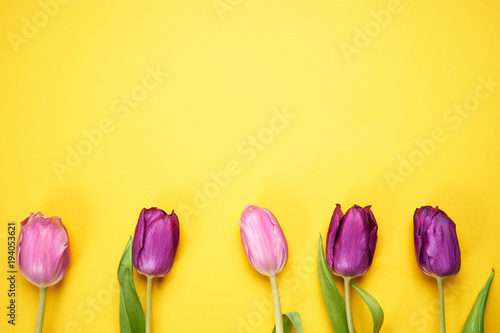 Fototapeta Naklejka Na Ścianę i Meble -  Top view of purple tulips on yellow background